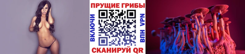 Псилоцибиновые грибы прущие грибы  Свободный 