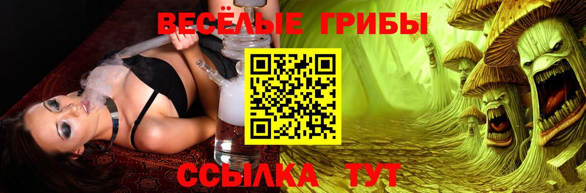 Галлюциногенные грибы мицелий Свободный