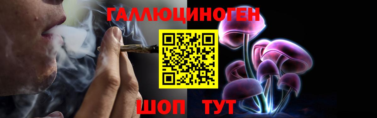 Псилоцибиновые грибы MAGIC MUSHROOMS  Вход с VPN  Свободный  Галлюциногенные грибы Psilocybe 
